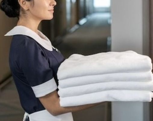 Housekeeper in VIP Households